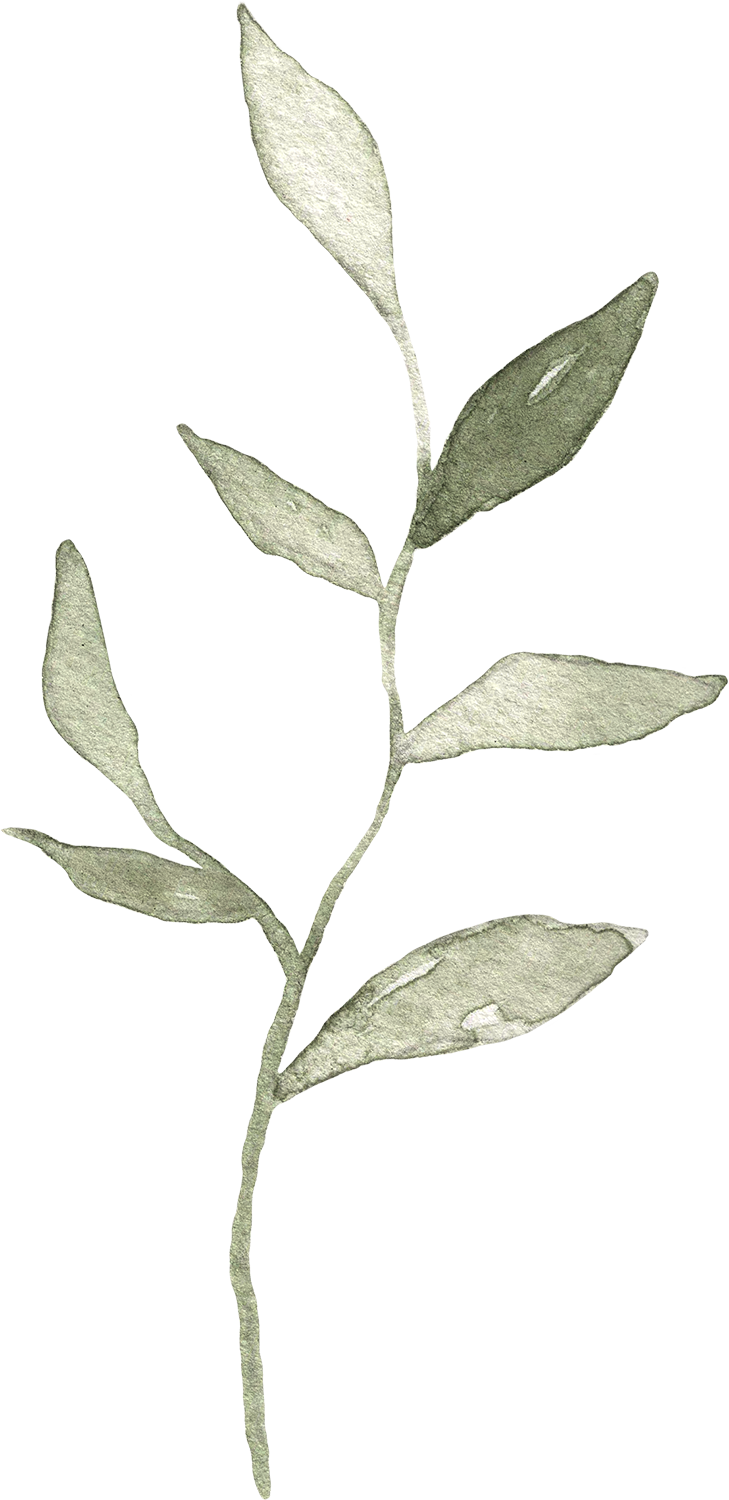 Laurel leaf Element
